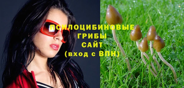 твердый Вязьма