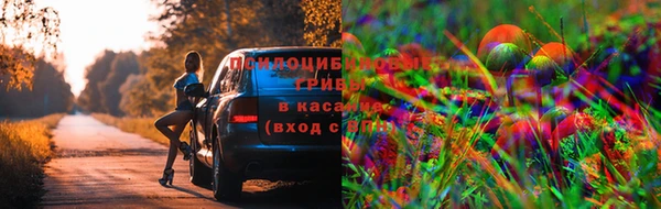 jwh Вяземский